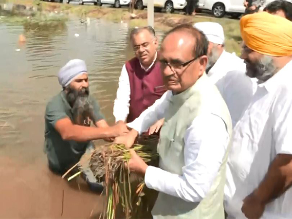 Punjab: Union Agriculture Minister visits flood-stricken areas in Amritsar