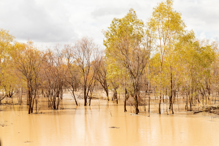 Australia warns of cascading climate risks ahead of emissions target announcement