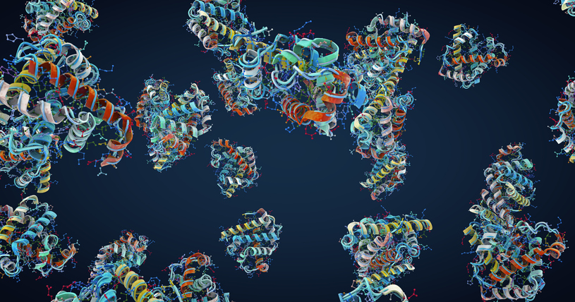 Indian scientists discover protein p47’s role as mechanical chaperone, paving way for new treatments
