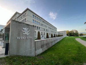 Tariffs cause 'unprecedented' disruption to global trade rules, WTO chief says