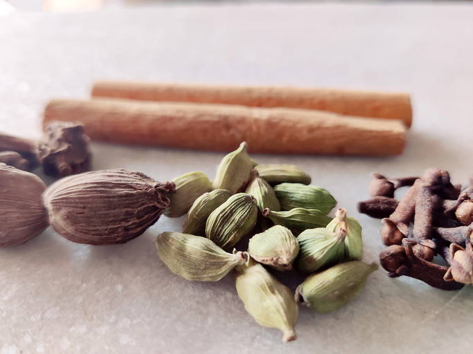 10th Ayurveda Day 2025: Harmonising Health and Environment under ‘People & Planet’