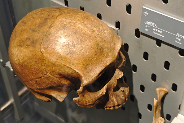 Ancient skull from China may shake up timeline of human evolution
