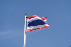 Thai parliament to vote on new PM, as Thaksin jets off amid chaos