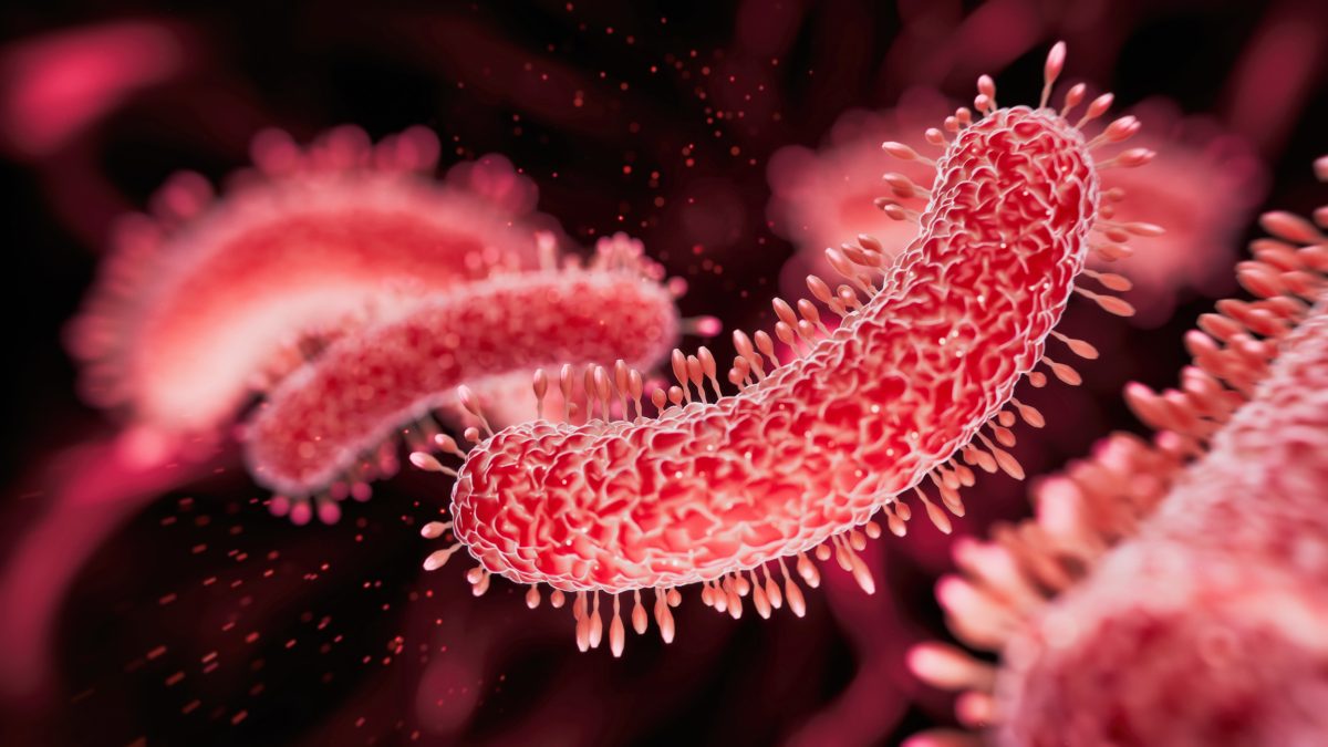 Stanford scientists use AI to engineer viruses that kill bacteria Stanford scientists use AI to engineer viruses that kill bacteria