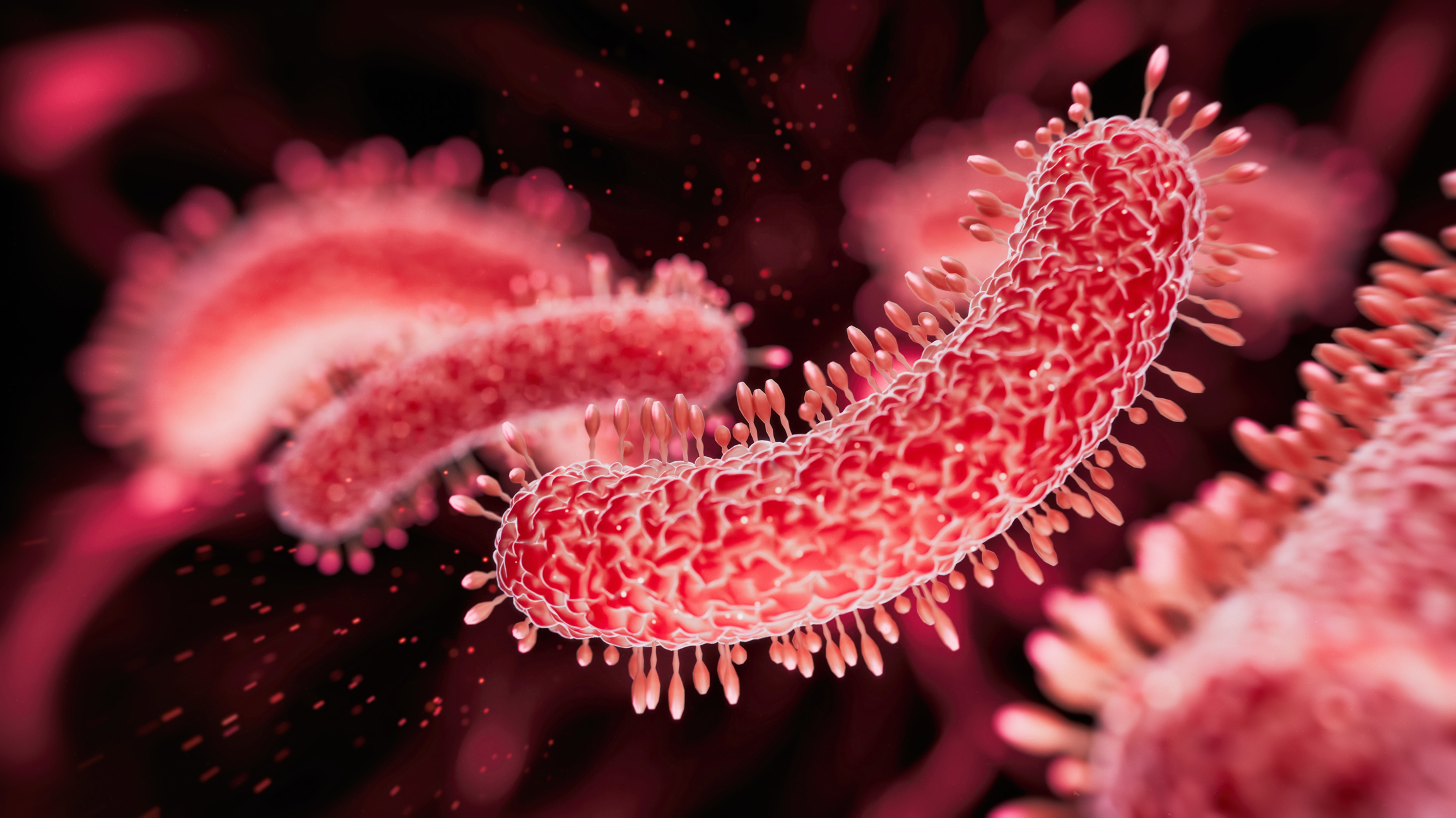 Stanford scientists use AI to engineer viruses that kill bacteria