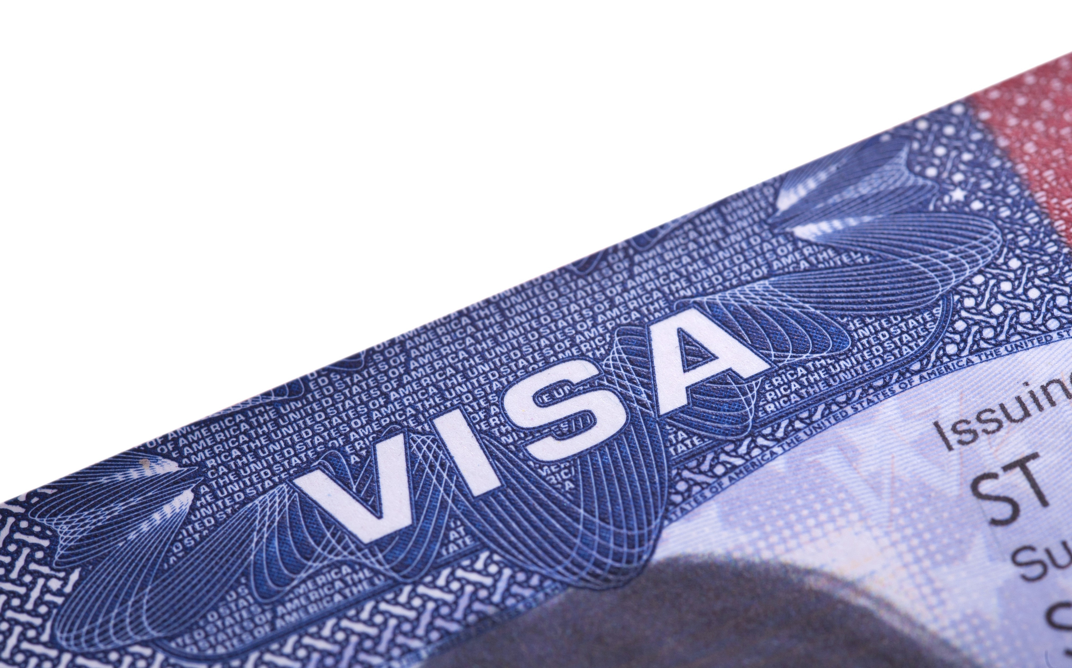 US new H-1B visa fee will not apply to existing holders, White House says
