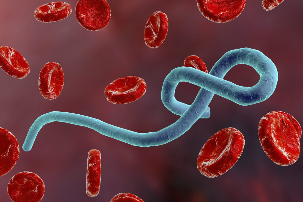 Over 30 people have died from Ebola in Congo, says World Health Organization