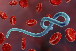 DR Congo Ebola outbreak: community deaths rise to 75%, WHO says