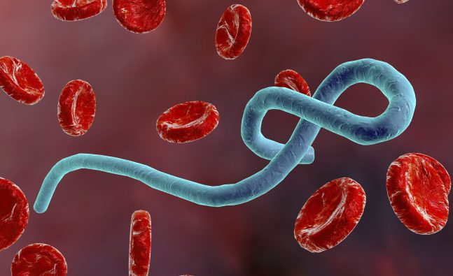 Russian scientists develop vaccine for new Ebola strain: Moscow