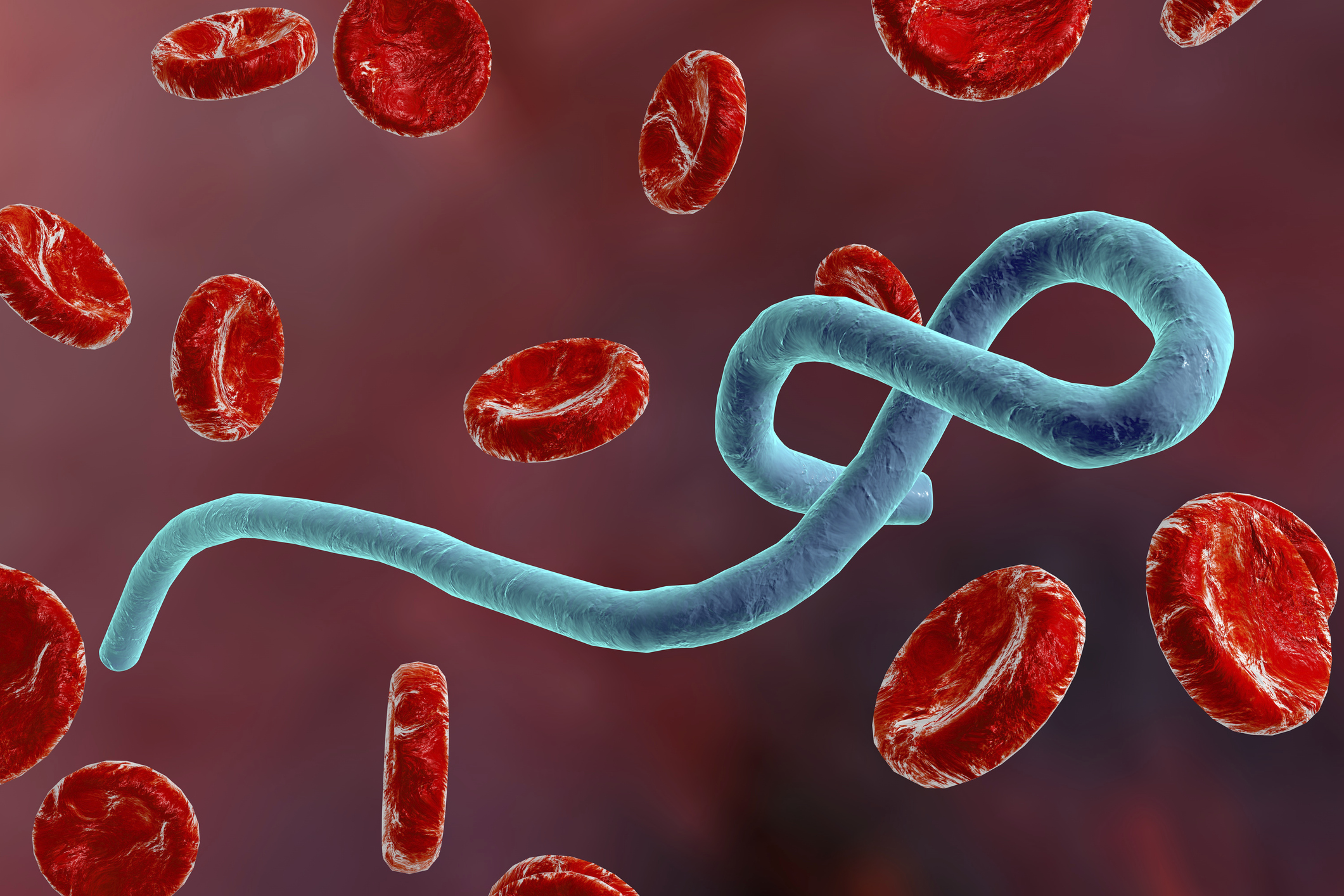 Over 30 people have died from Ebola in Congo, says World Health Organization