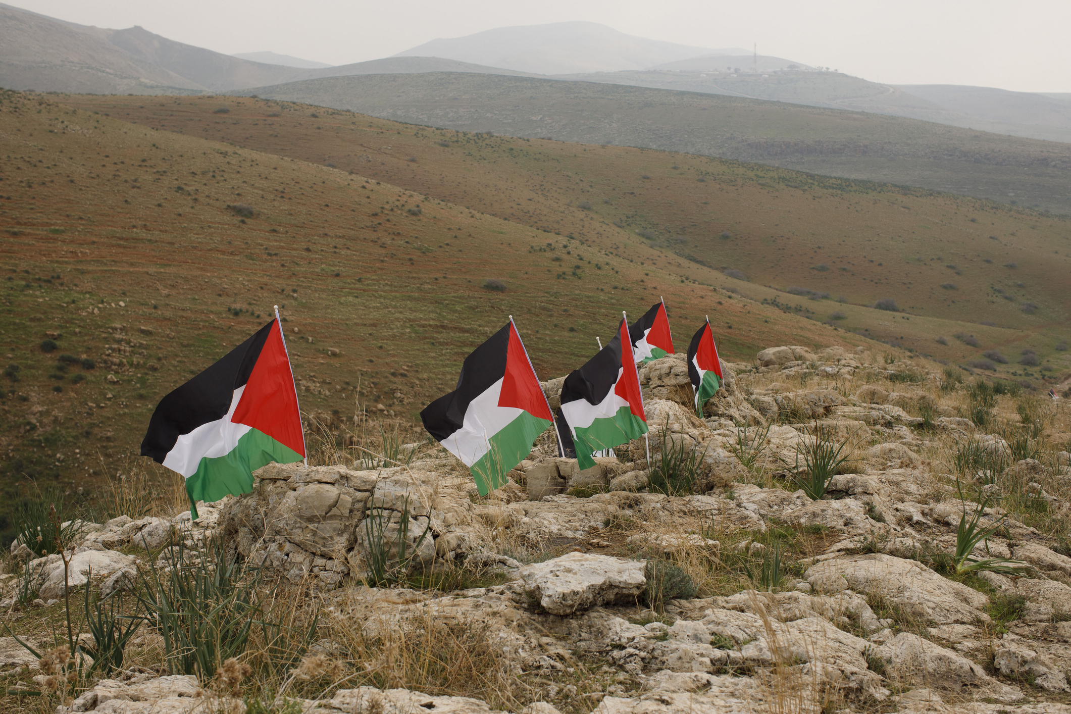 World summit to meet on two-state solution as support grows for Palestinian state