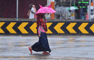 Heavy rains raise landslide risk in Assam, ASDMA issues advisory