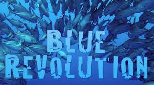 Five Years of Blue Revolution: Inclusive Growth & Sustainability in Fisheries