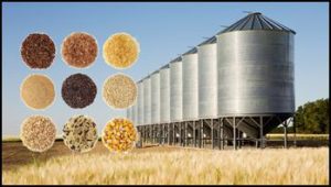 India strengthens food security with record harvest and enhanced storage infrastructure