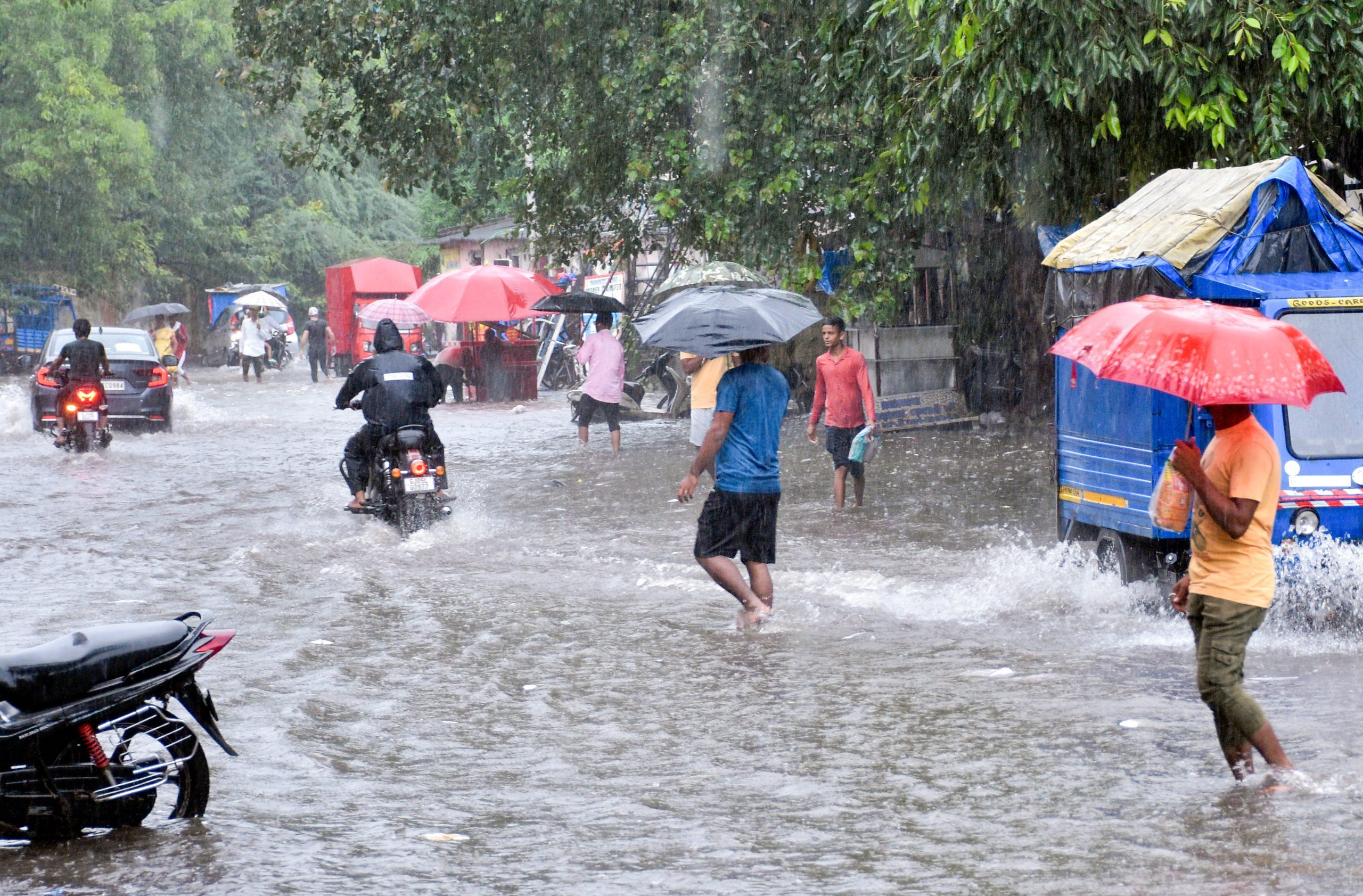 Gujarat nears monsoon target with 90% rainfall; 48 talukas record over 40 inches