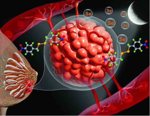 Indian scientists develop new compound to combat aggressive breast cancer