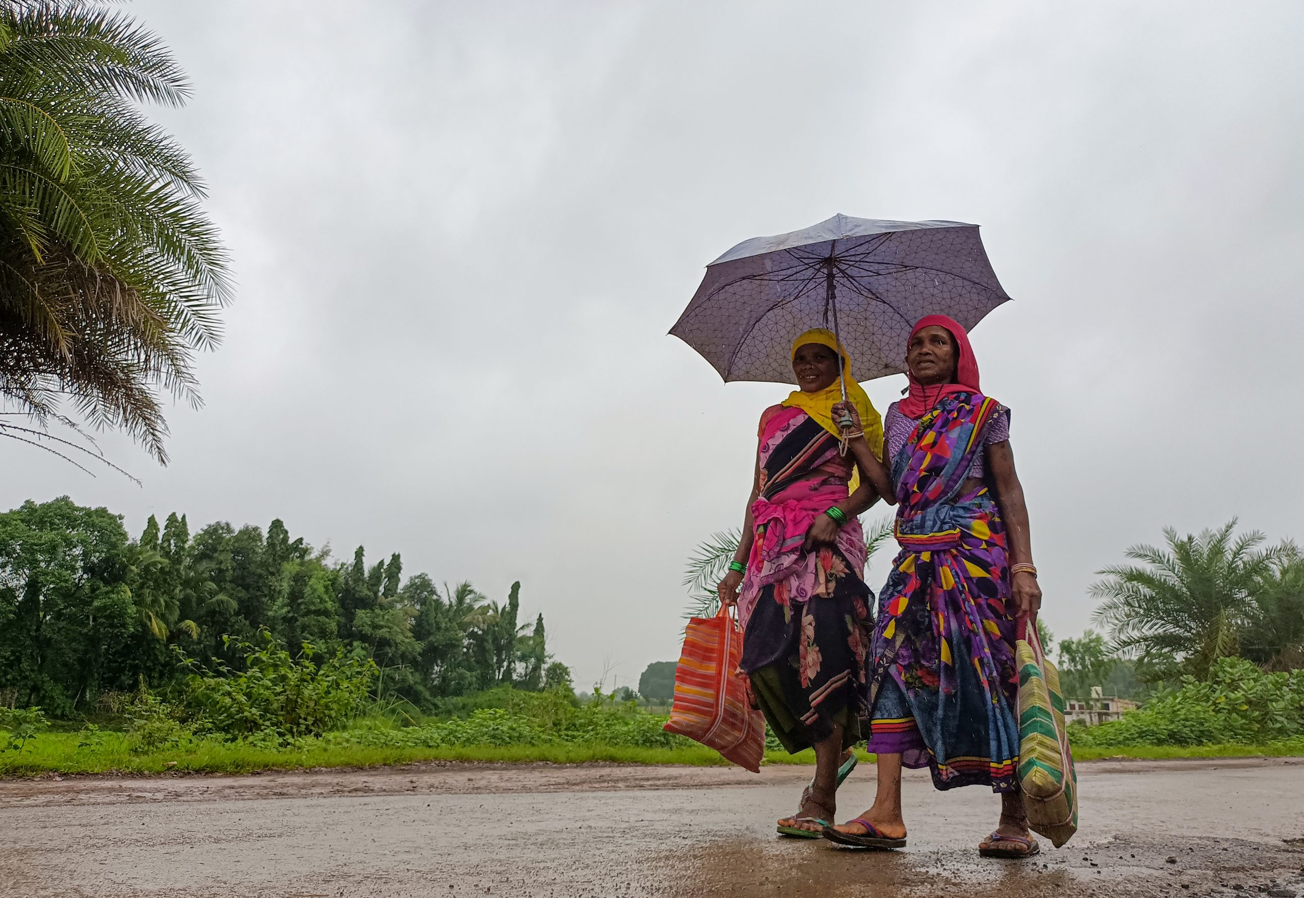 Heavy rainfall forecast for Chhattisgarh, Odisha; Delhi to see clear skies till Sept 26