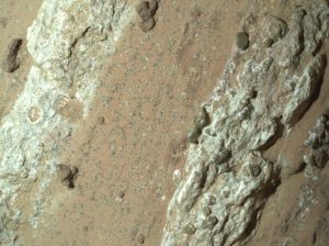 NASA rover finds potential sign of ancient life in Martian rocks