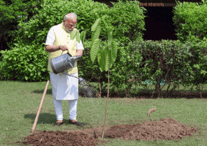 PM Modi plants special birthday gift from King Charles, a Kadamb sapling at his residence