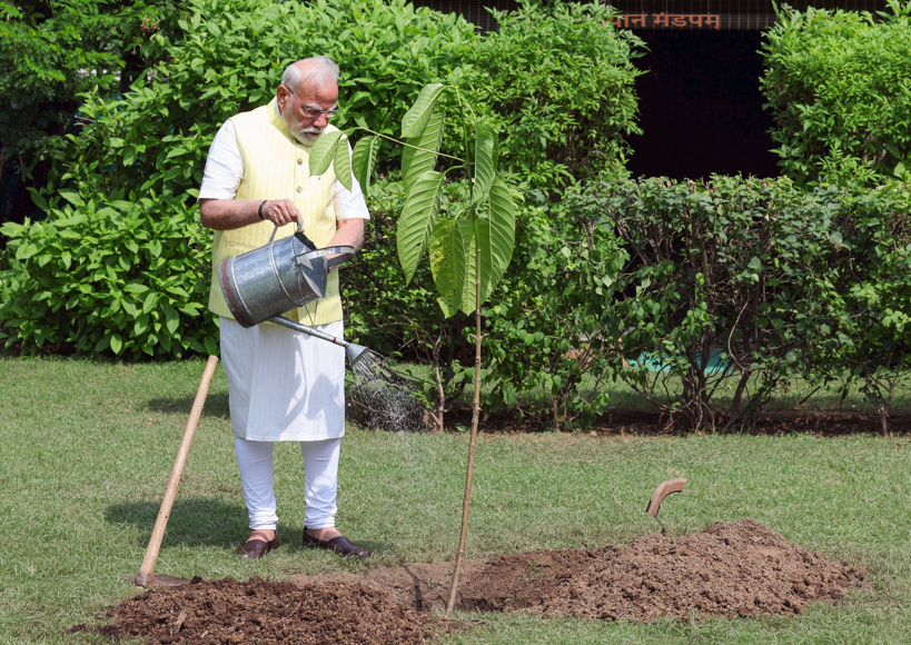 PM Modi plants special birthday gift from King Charles, a Kadamb sapling at his residence