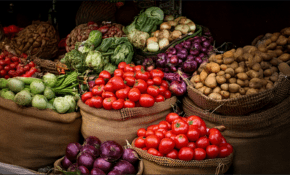 WPI inflation rises to 9.92% in August 2026