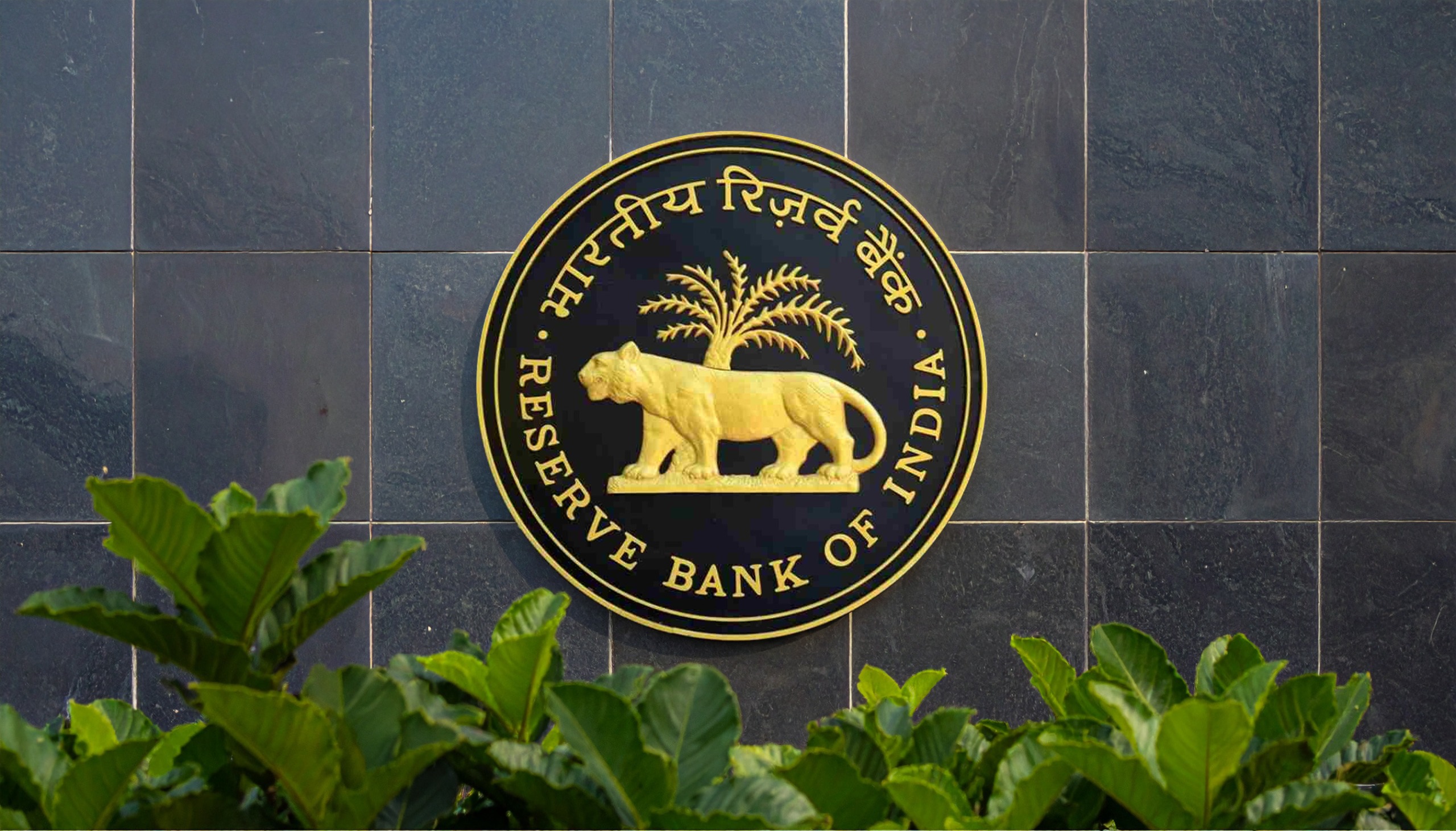 RBI keeps repo rate unchanged at 5.5%, raises GDP growth forecast to 6.8%