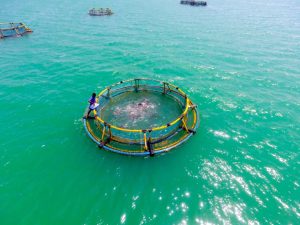 Fisheries ministry drives clean governance, resolves 82% of grievances