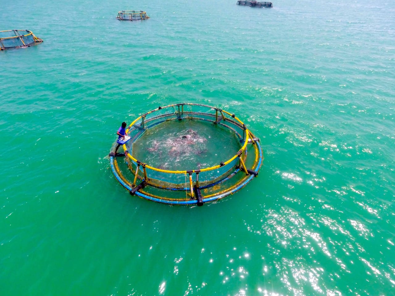 Fisheries ministry drives clean governance, resolves 82% of grievances