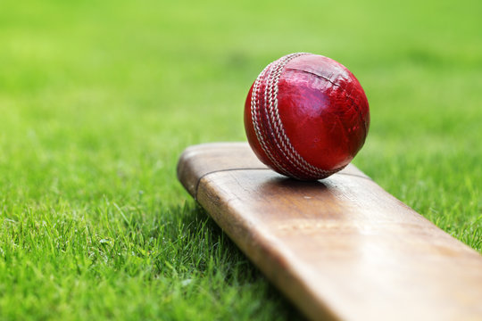 Teen cricketer dies after being struck by ball during training in Melbourne