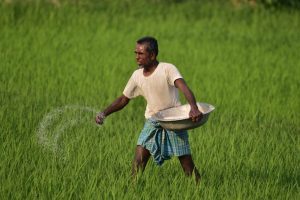 Empowering Farmers Through Organic Transformation, Building a Sustainable Future for Rural India