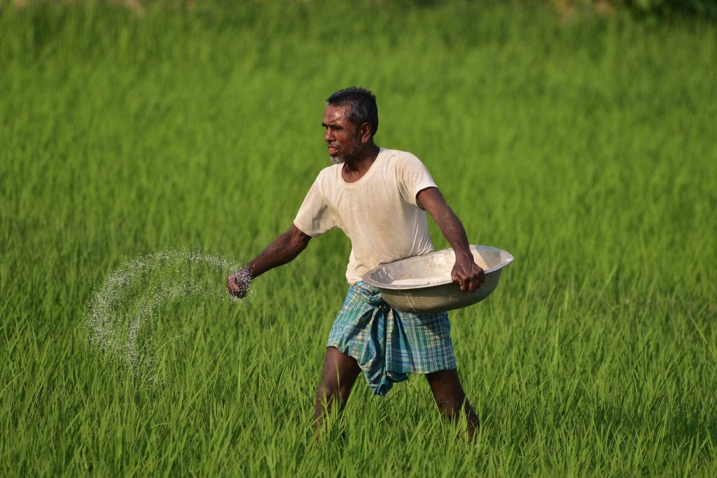 Empowering Farmers Through Organic Transformation, Building a Sustainable Future for Rural India