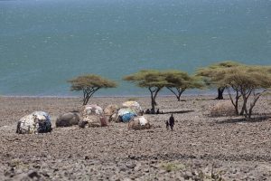 Hand and foot fossils found in Kenya for ancient human relative