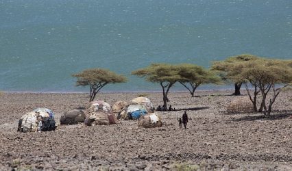 Hand and foot fossils found in Kenya for ancient human relative
