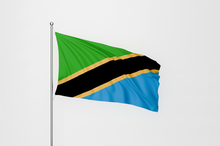 Tanzania government downplays violent protests, promises return to order