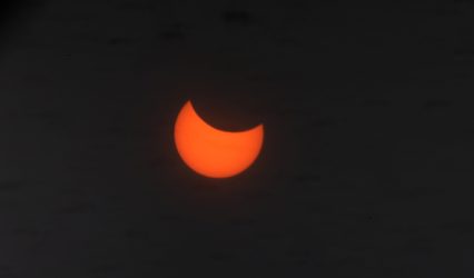Study shows how solar eclipse made some birds sing like a new day dawned
