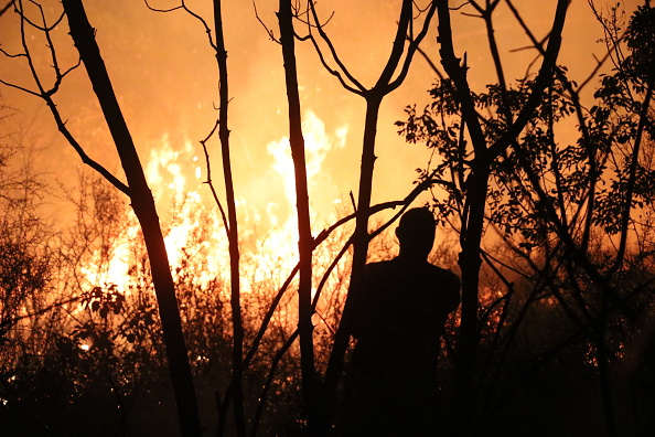 World falling far behind deforestation goals with farms and fires driving loss, report says