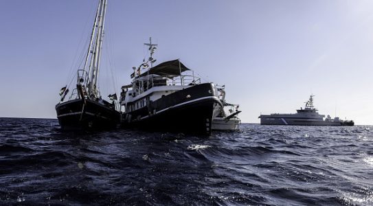 Israel stops 13 Gaza aid boats, organisers say, sparking international criticism