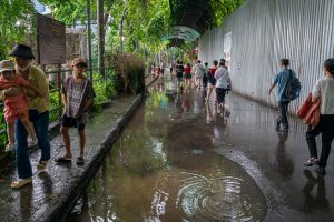 Typhoon Bualoi death toll rises to 36 in Vietnam