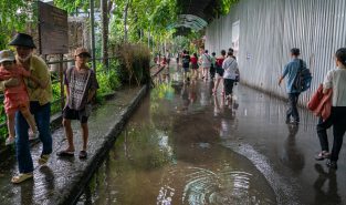 Typhoon Bualoi death toll rises to 36 in Vietnam