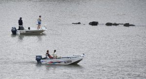 Queensland river gets tick of approval for 2032 Olympic rowing