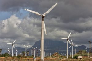 India's supportive policies, funding drive rapid green energy transition in subcontinent: S&P