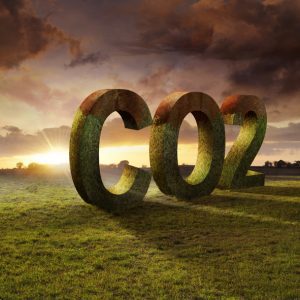 US, Singapore call on UN to delay carbon shipping price vote amid splits