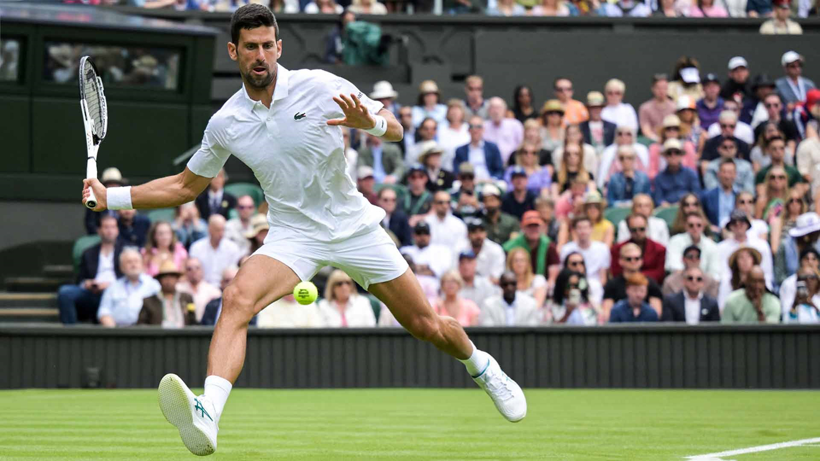 Djokovic has no plans to retire, inspired by Ronaldo, LeBron and Brady