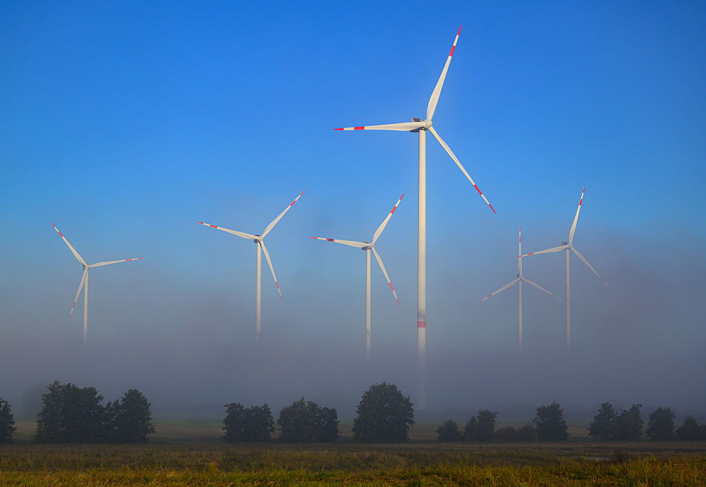 Global renewable power output overtakes coal for the first time, report says