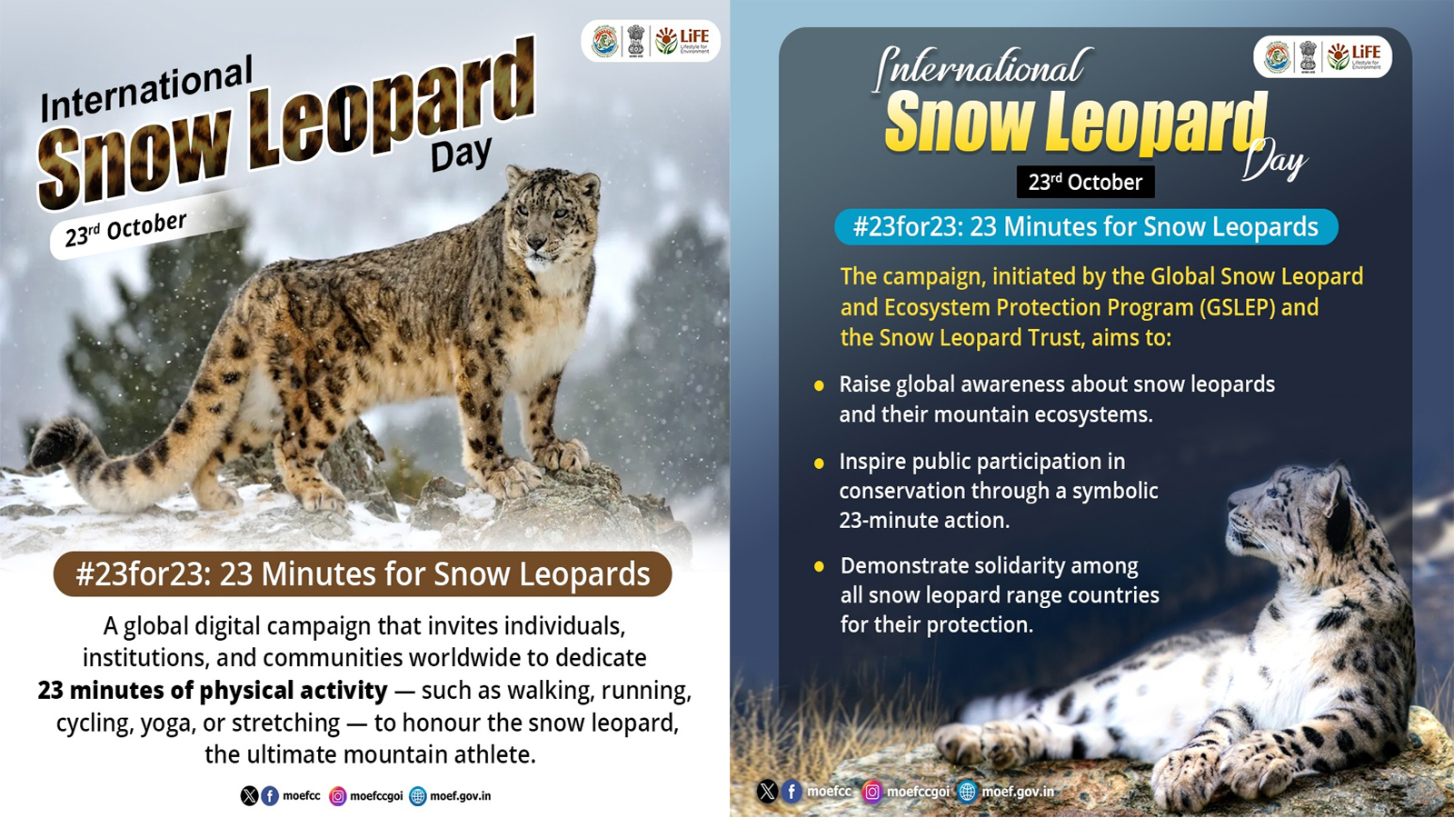 India marks International Snow Leopard Day with nationwide ‘#23for23’ initiative