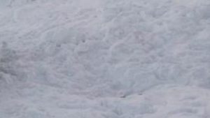 Avalanche in Slovenia's Alps kills three Croatian climbers