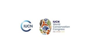 Ocean conservation gains global momentum as climate solution at IUCN Congress