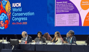 IUCN World Conservation Congress Concludes with Historic Conservation Commitments