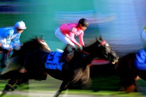Sheikh Mohammed tops racehorse sale with 20 million pound spend