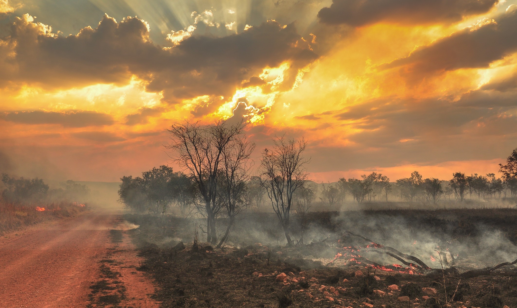 Fierce winds stoke fires, send temperatures soaring in Australia and New Zealand